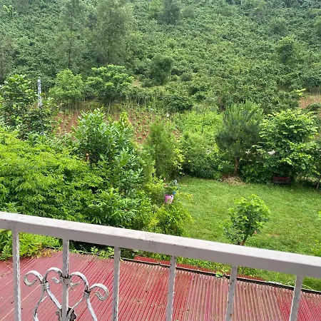 Doga Villa