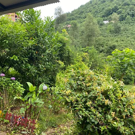 Villa Doga