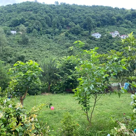 Doga Villa Yomra